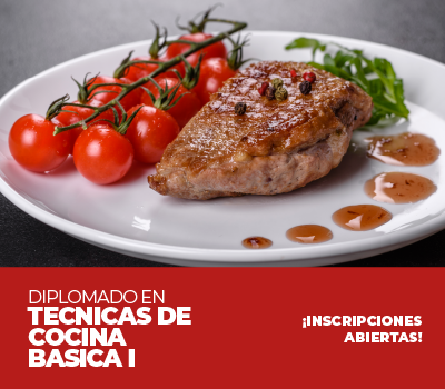 DIPLOMADO EN TECNICAS DE LA COCINA BASICA I
