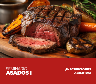 SEMINARIO DE ASADOS I