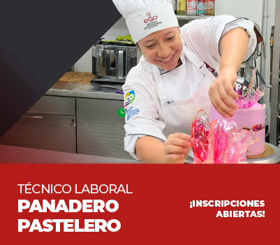 TECNICO LABORAL PANADERO Y PASTELERO