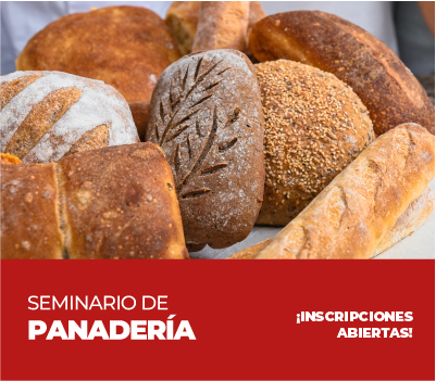 SEMINARIO DE PANADERÍA