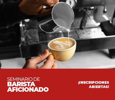 SEMINARIO DE BARISTA AFICIONADO