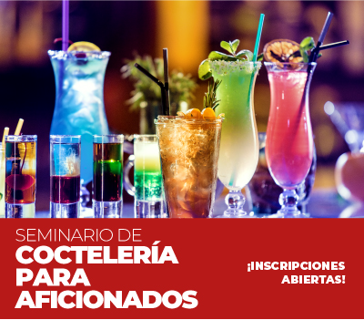 SEMINARIO COCTELERÍA PARA AFICIONADO