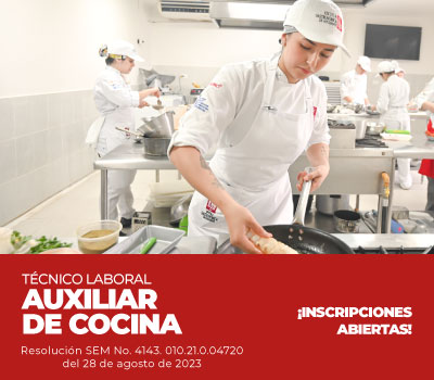 PROGRAMA AUXILIAR DE COCINA