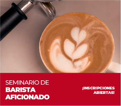 SEMINARIO DE BARISTA AFICIONADO (SÁBADOS)