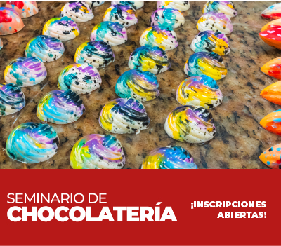 SEMINARIO DE CHOCOLATERIA