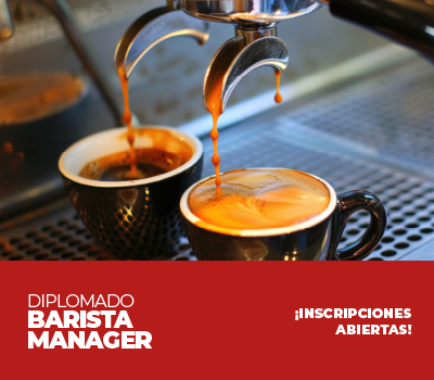DIPLOMADO BARISTA MANAGER